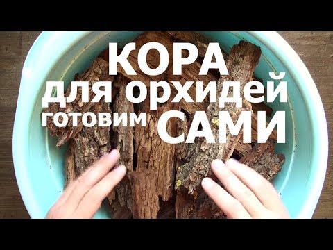 Видео: КАК для ОРХИДЕЙ СВАРИТЬ КОРУ