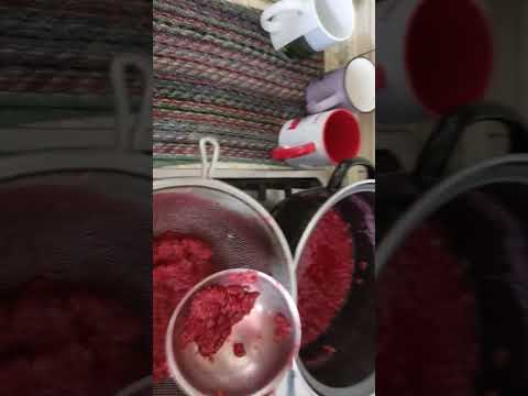 Видео: 🍒Как быстро размять и протереть ягоды через сито🍇🍓