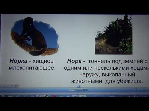 Видео: Русский язык 27 апреля