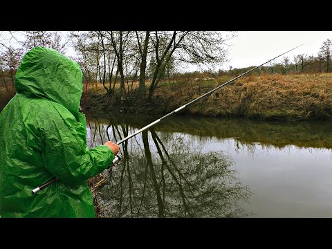 Видео: РЫБАЛКА НА ГОЛАВЛЯ. В проводку на кукурузу и донкой на куриную печень! Рыбалка весной на малой реке.