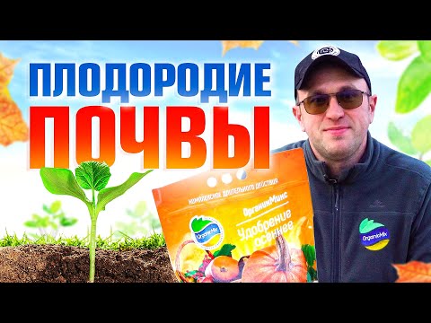 Видео: Почва. Как повысить плодородие почвы? / Илья Макаров