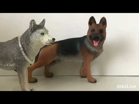 Видео: Ура!!•Новинки фигурок собак•