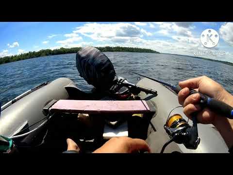 Видео: Рыбалка в Саратове. Открытие после нерестового запрета.