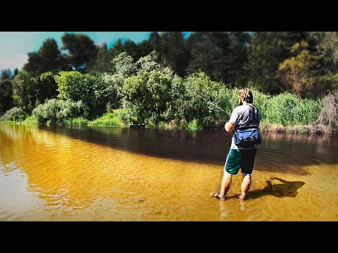 Видео: Рыбалка в красивейших местах Брянской области.  Спиннинг-Ультралайт.