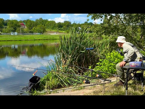 Видео: На що краще клює карась? Фідер проти "Вбивця карася"!
