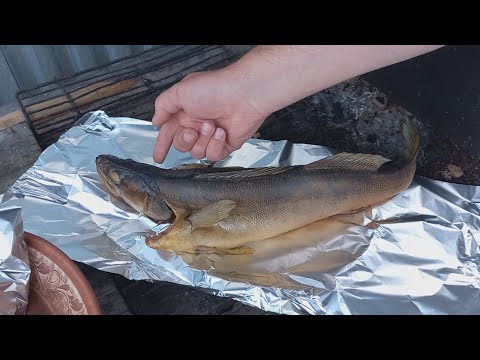 Видео: Горячее копчение судака, берша или другой рыбы