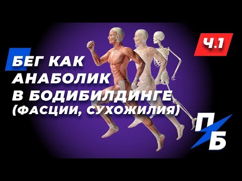 Видео: Бег как анаболик в бодибилдинге. Влияние на фасции и сухожилия. Обмен веществ