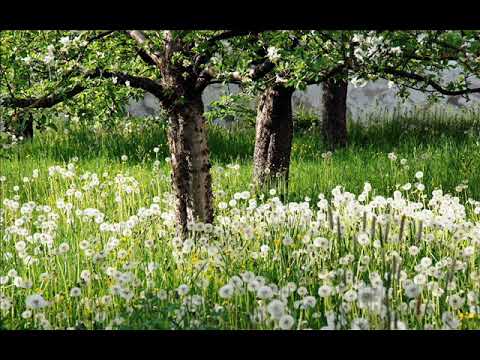 Видео: Метод трактовки 1-го и 7-го домов