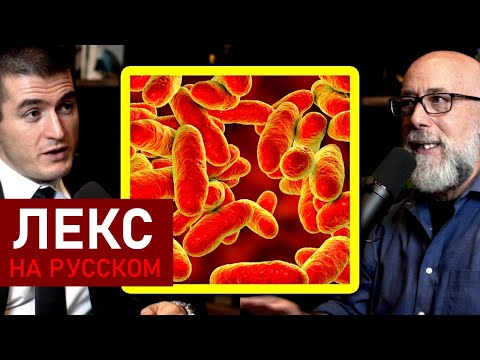 Видео: Секрет эволюции жизни на Земле | Адам Франк и Лекс Фридман