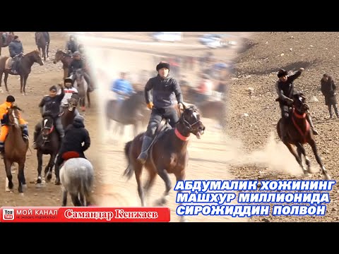 Видео: 🐫🐎🐄МИЛЛИОН ТУЛПОРДА СИРОЖЖИДДИН ПОЛВОН МАРРАЛИРИ КАРАМАЗОР 2023