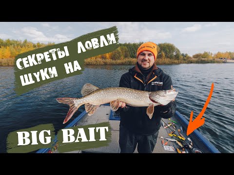 Видео: Как поймать щуку на крупную резину осенью?