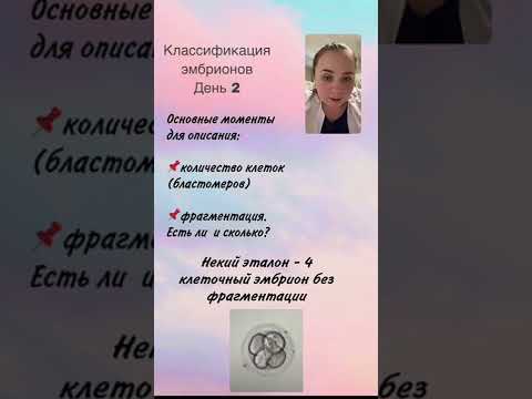 Видео: О классификации эмбрионов