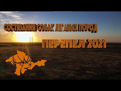 Видео: СОСТЯЗАНИЯ ПО ПЕРЕПЕЛУ 2021