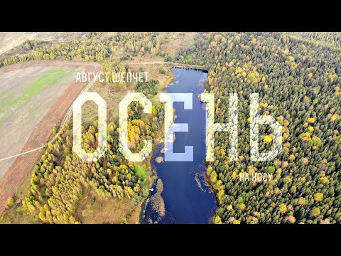 Видео: Пикник на пруду / Sup Board UWITHME / Кабаны / Лось / УТКИ / Осенины / Август шепчет ОСЕНЬ на носу..