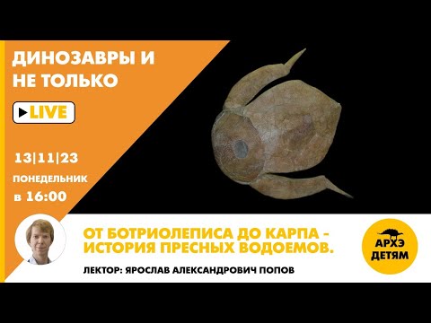 Видео: Занятие "От ботриолеписа до карпа — история пресных водоемов" кружка "Динозавры и не только"