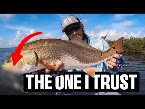 Видео: Лучшая приманка для грязной воды этой осенью (делайте ЭТО, когда вода становится мутной)