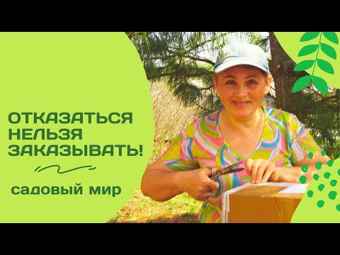 Видео: Знаю, что рискую, но заказываю! Распаковка саженцев от "Садового Мира"