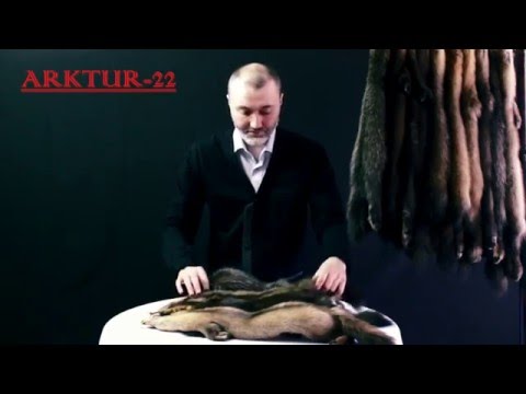 Видео: Классификация меха соболя