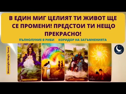 Видео: 🪷В ЕДИН МИГ ЦЕЛИЯТ ТИ ЖИВОТ ЩЕ СЕ ПРОМЕНИ! ПРЕДСТОИ ТИ НЕЩО ПРЕКРАСНО!🌕Пълнолуние в Риби♓️