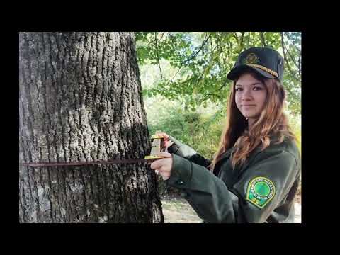 Видео: ОГАК погружение в профессию