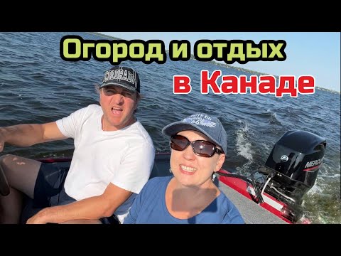 Видео: Огород Урожай чеснока и картошки// рыбалка и жизнь в Канаде