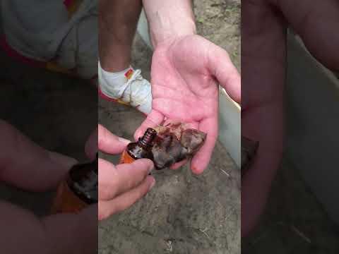 Видео: 💥 Топовые советы, которые реально облегчают жизнь! 😱✨