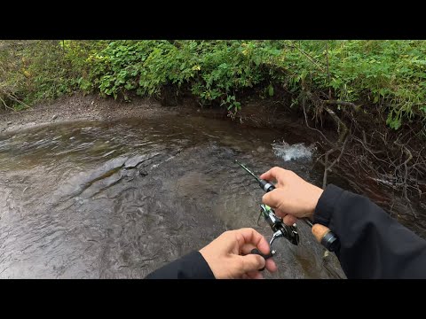 Видео: Задрало сливать форель! Больше не ставлю такие крюки 