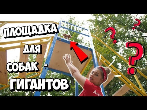 Видео: ОБЗОР НОВЫХ ПЛОЩАДОК ДЛЯ СОБАК | НАШЛИ НЕПОНЯТНЫЕ СНАРЯДЫ ДЛЯ ПСОВ - ГИГАНТОВ