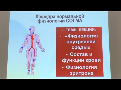 Видео: Часть 2. • ﻿«Физиология внутренней среды» •﻿﻿Состав и функции крови﻿﻿ •Физиология эритрона