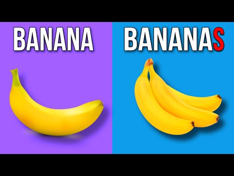 Видео: Singular and Plural Nouns для детей - английский язык для детей с Новакид 0+