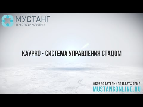 Видео: КауPro - система управления стадом