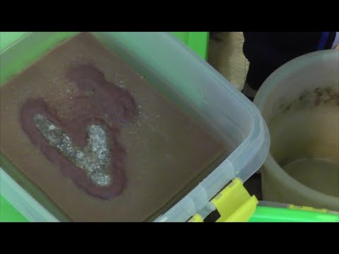 Видео: Аулофорус. Секретная добавка к геркулесу.