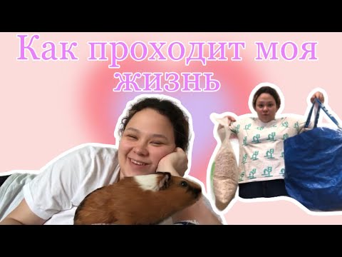 Видео: Vlog|May23🏃🏻‍♀️🌱 |  Моя жизнь | покупочки | уборка | морские свинки 🥰