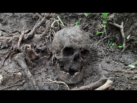 Видео: Нашли нетронутый пятак. Много солдат и оружия. Раскопки в Рамушевском коридоре смерти.