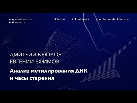 Видео: Анализ метилирования ДНК и часы старения | Дмитрий Крюков, Евгений Ефимов