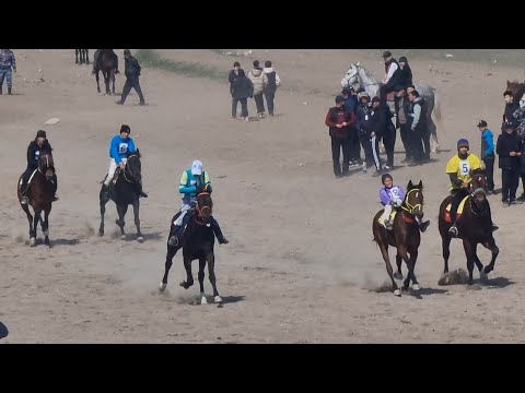 Видео: Жорго салыш 21 03 2023 Нооруз