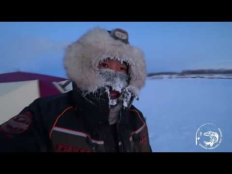 Видео: СИГ в этот день клевал изумительно! Якутия Yakutia