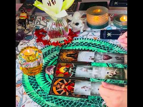 Видео: 🛡️🪬» Богиня Геката Вам Сейчас Желает рассказать ПРАВДУ ☝️От которой шевелятся волосы на голове😳🫢».‼️