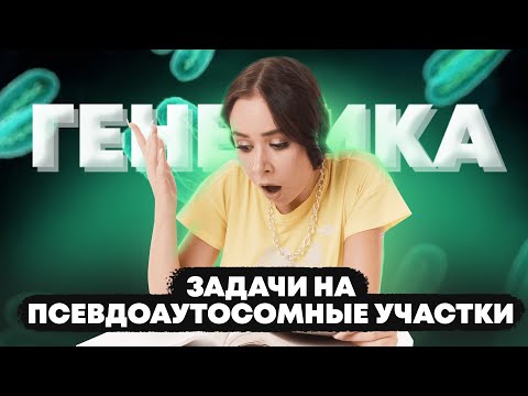Видео: Задачи на псевдоаутосомные участки биология ЕГЭ | Умскул