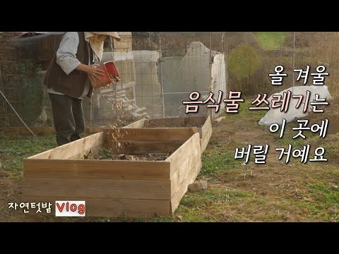 Видео: [Ноябрь -2] Этой зимой я буду собирать пищевые отходы здесь / Создание сада из пищевых отходов