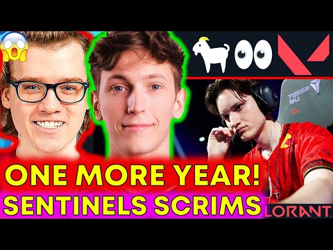 Видео: УТЕЧКА состава VCT: Boaster остаётся, Sentinels Zellsis 👀😤