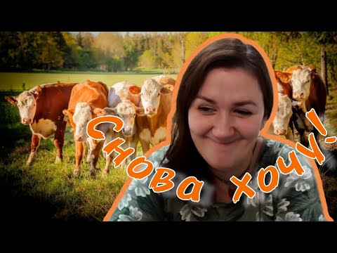 Видео: Она никого не обманула! И снова хочет ! #побируха #быкова #деревенскийдневникоченьмногодетноймамы