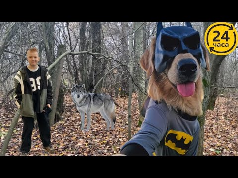 Видео: ЭКСТРЕМАЛЬНОЕ ВЫЖИВАНИЕ В ЛЕСУ 24 ЧАСА🏕️