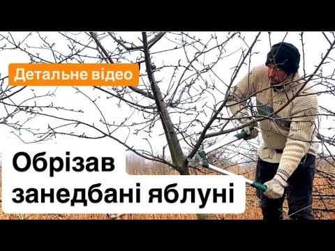 Видео: Обрізка молодих занедбаних яблунь
