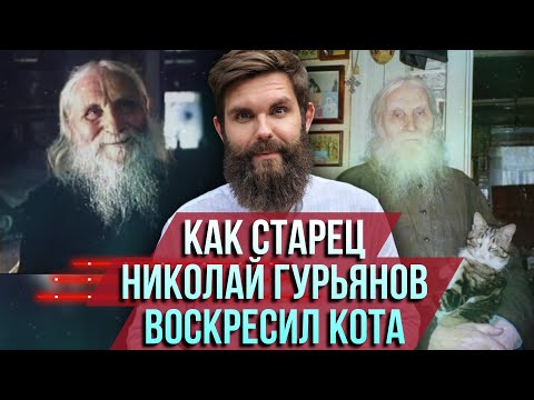 Видео: ❗️Как старец Николай Гурьянов воскресил любимого кота
