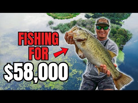 Видео: Рыбалка ради победы на ЛЕГЕНДАРНОМ озере Гантерсвилл (ТУР BIG BASS)