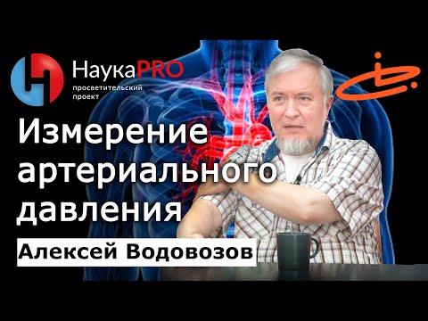 Видео: Как правильно измерить артериальное давление – Алексей Водовозов | Лекции по медицине | Научпоп