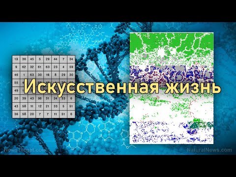 Видео: Искусственная жизнь. Симуляция эволюции, как у @foo52ru