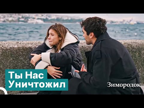Видео: Как Мы Смогем Восстановиться, Когда Так Все Разрушено? | Зимородок
