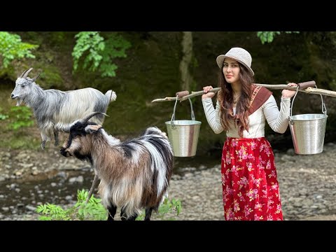 Видео: Готовим бульон на природе деревни! Костный бульон! 🤠🍖🦴